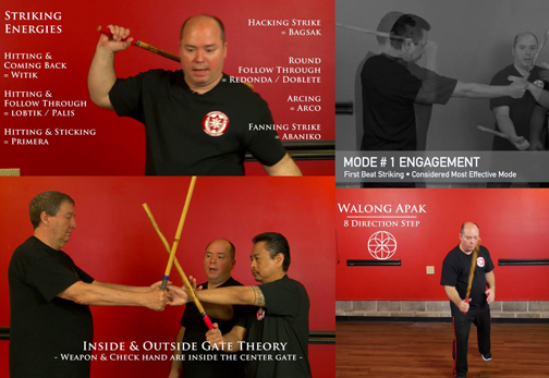 DLP Image Collage (sm)